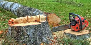 Best Residential Tree Removal  in Redby, MN